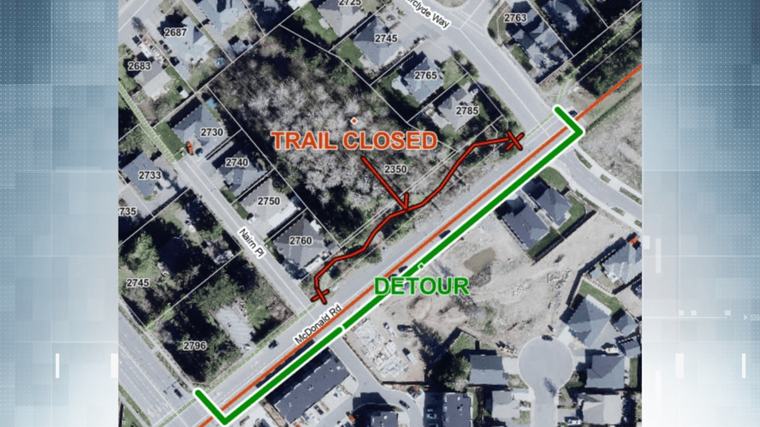 City of Courtenay closes popular trail due to danger tree, home of two protected species