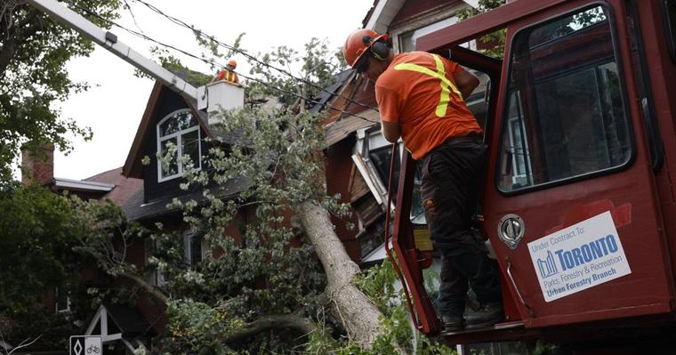 Why trees downed in Toronto’s storm might be a sign of what’s to come: ‘It’s a wake-up call’