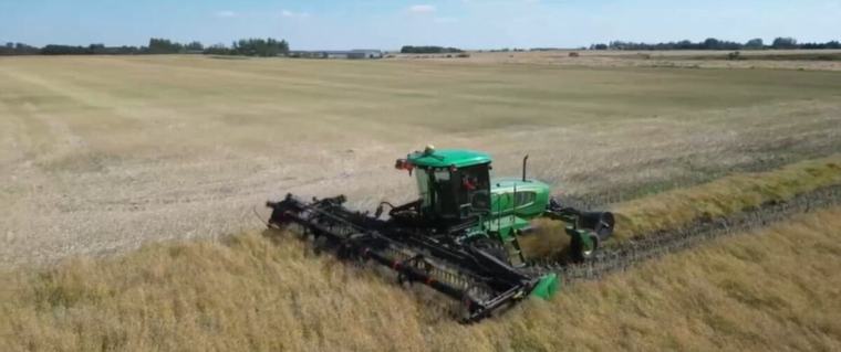 Dry conditions lead to 18% harvest completion across Sask.