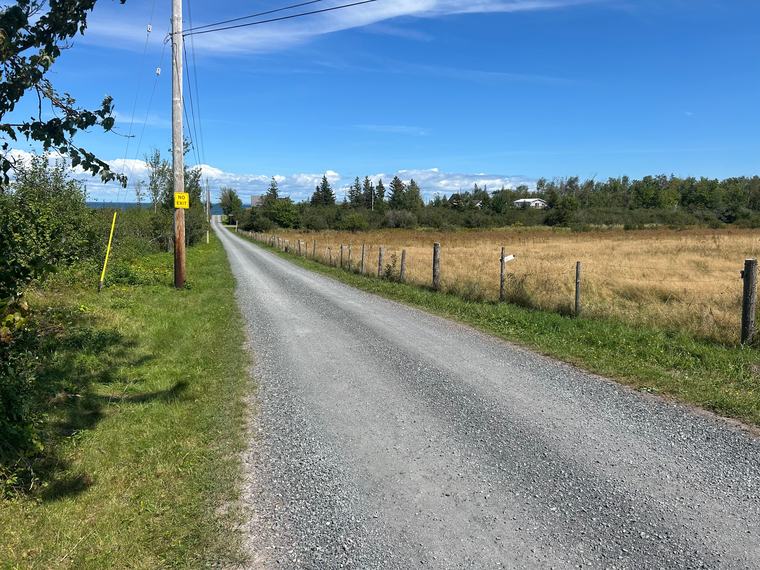 State of Canadian cottage real estate analyzed as buyers navigate shifting market