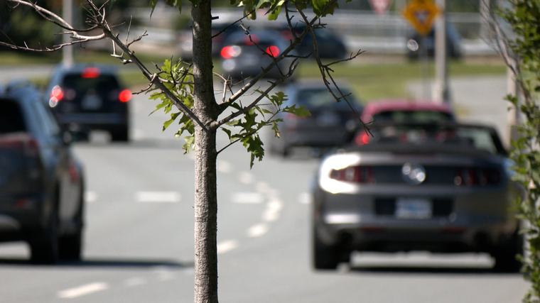 Traffic delays expected for upcoming road work on Larry Uteck Boulevard in Bedford, N.S.