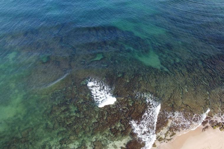 ‘Extremely rare event:’ Miles-long microalgae bloom knocks out most of Israel’s desalination plants