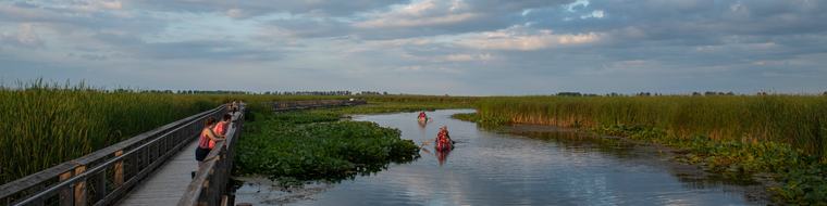 Point Pelee National Park