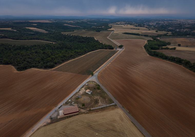 Purple haze: Heat waves threaten lavender fields in France