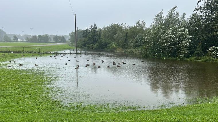 ‘Very tragic’: Woman’s death sends shock waves across Cape Breton amid major floods