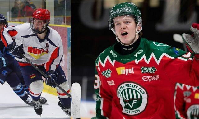 Vernon Vipers roster rounds into form with four more signings