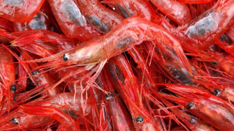Ottawa removes seafood from counter-tariffs list, adds copper wire and charcoal