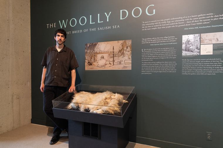 Rare hide from extinct wooly dog bred by B.C. First Nations is on display
