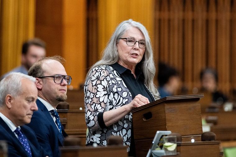 MP Cathay Wagantall officially becomes 10th MP to resign this year